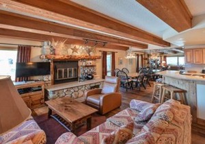Spacious & Cozy Condo With Wood Fireplace condo