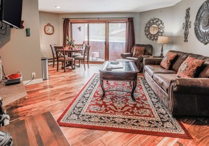 Spacious Mountain Condo w/Free WiFi, Private Washer/Dryer, and Shared Hot Tub