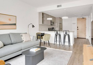 Sunny Congress Park 1BR w/ Gym & Pool, near shops & dining, by Blueground
