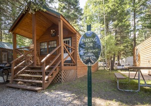 The Blue Spruce Cabin #16