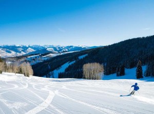 Bear Paw Lodge | Avon