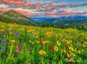 Alpine Inn Suites Gunnison | Gunnison
