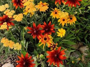 Casa Wildflower | Gunnison