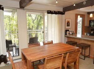 Chateau Fork | Aspen