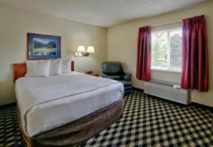Elegante | Northeast Colorado Springs