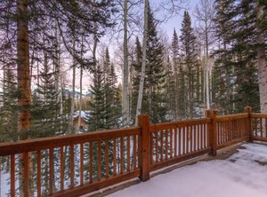 Palmyra | Mountain Village