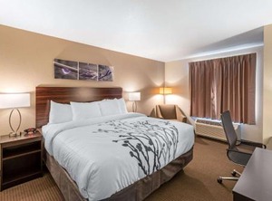 Quality Inn Suites Denver International Airport | Dupont