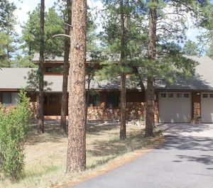 Ponderosa Pines 