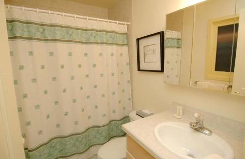 Aspen House | 118 E. Bleeker Street Lower Level, Large Lower-Level Condo in Duplex with Private Deck