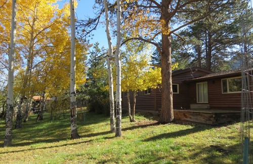 Estes Park Cabin | 156 m² Cabin ∙ 3 bedrooms ∙ 8 guests