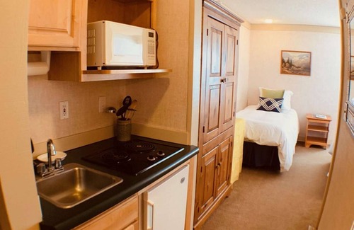 Telluride Condo | 26 m² Condo ∙ 1 bedroom ∙ 3 guests