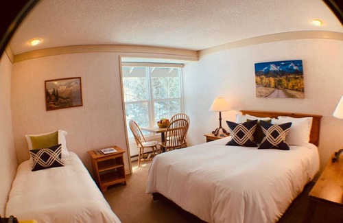 Telluride Condo | 26 m² Condo ∙ 1 bedroom ∙ 3 guests