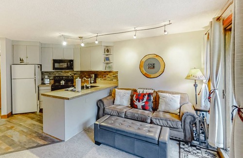Winter Park Apartment | 38 m² Studio flat ∙ 4 guests
