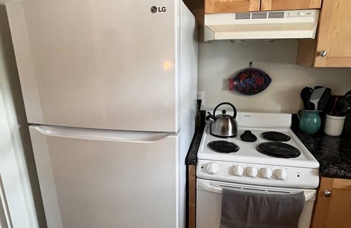 Pagosa Springs Apartment | 79 m² Apartment ∙ 2 bedrooms ∙ 4 guests