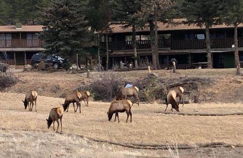 Estes Park Hotel | 93 m² Hotel ∙ 3 bedrooms ∙ 8 guests