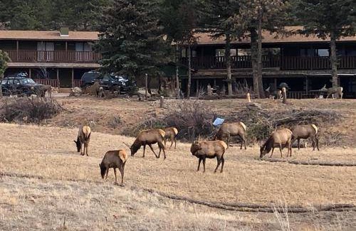 Estes Park Hotel | 93 m² Hotel ∙ 3 bedrooms ∙ 8 guests