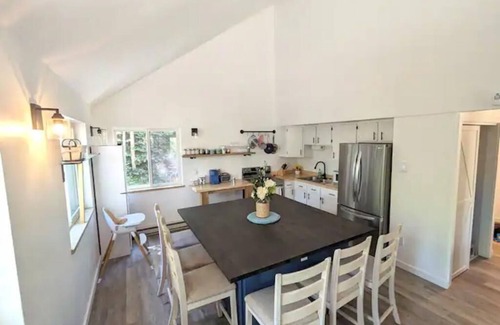 Alma House | Alma Family Getaway! 13 Miles to Breck! Starlink!