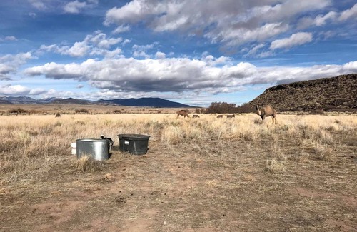 Capulin Other | Camping ∙ 1 bedroom ∙ 4 guests