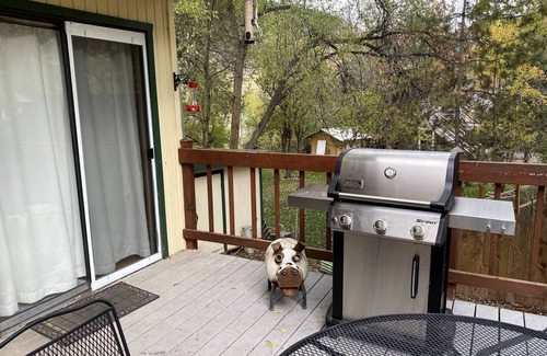 Glenwood Springs House | Close to Everything - Downtown Glenwood in Comfort