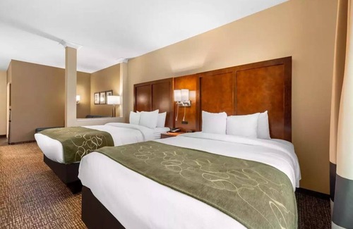 Sable Altura Chambers Hotel | Comfort Suites Denver near Anschutz Medical Campus