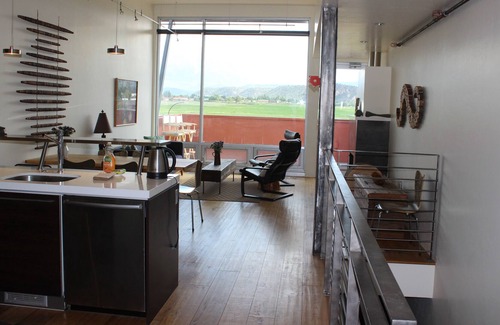 Dolores Lofts Condo | Contemporary Carbondale Loft