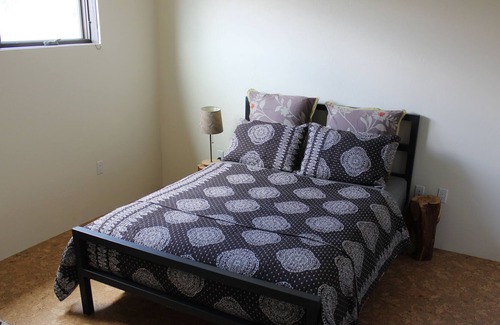 Dolores Lofts Condo | Contemporary Carbondale Loft