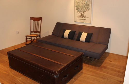 Dolores Lofts Condo | Contemporary Carbondale Loft