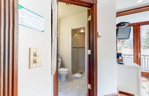 Telluride Condo | Convenient condo with incredible location - walk to lift