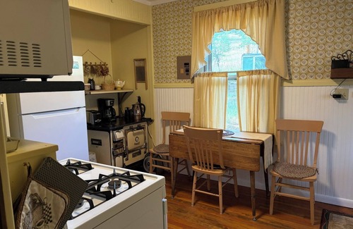 Nederland Cabin | Cozy & Comfortable 1BD Cabin In Nederland ~ Walk to Downtown, Trails & RTD Bus
