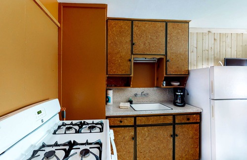 South Fork Cabin | Cozy dog-friendly cabin with grill & free WiFi - 17 miles to skiing