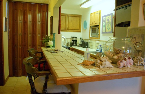 Evergreen House | FERN GULCH GETAWAY!.