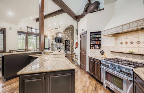 Forest Hills House | Free VIP Shuttle, Hot Tub, Views!