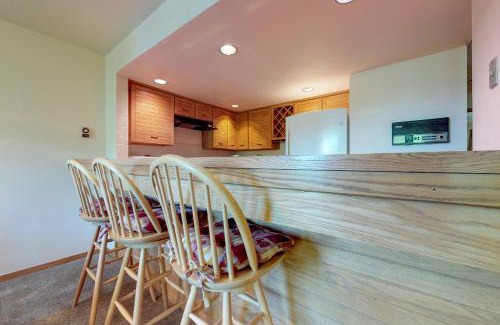 Mountain House Apartment | Frostfire Condominiums B19