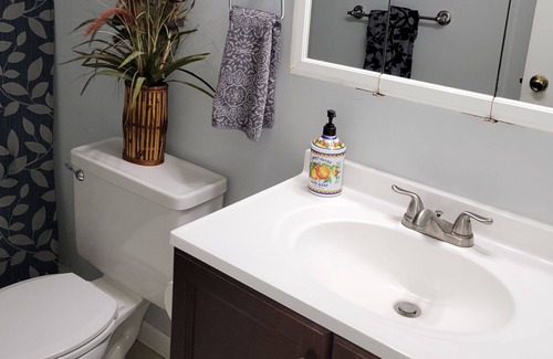 Eagle House | Historic Downtown Eagle 1/1 apt.