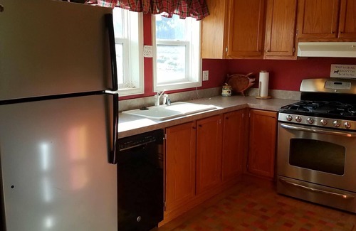 Leadville Cabin | Mountain Cabin with views - 30+ day rental only