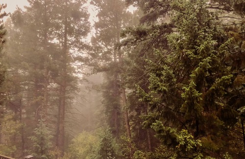 Cascade-Chipita Park House | Private Magical Forest, King Suite, 2 miles to Pikes Peak Hwy and North Pole