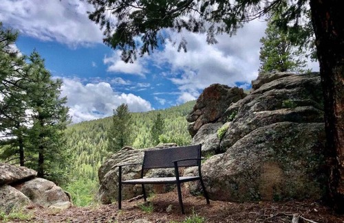 Conifer Mountain and Meadows Resort | Private room ∙ 4 guests