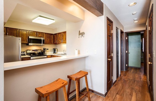 Steamboat Springs Condo | RA106 | Excellent Amenities | Beautiful Views | Winter Shuttle Service | Wood FP