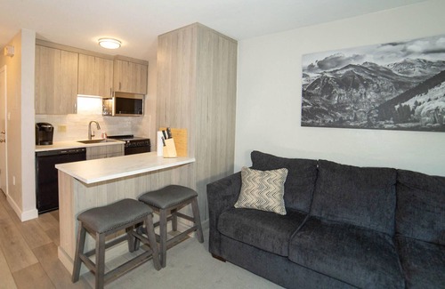 Aspen Condo | Recently Remodeled Studio Condo in the Heart of Aspen