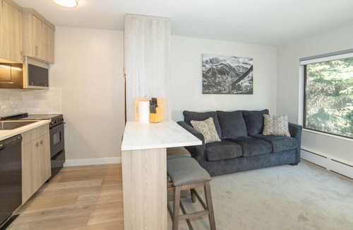 Aspen Condo | Recently Remodeled Studio Condo in the Heart of Aspen