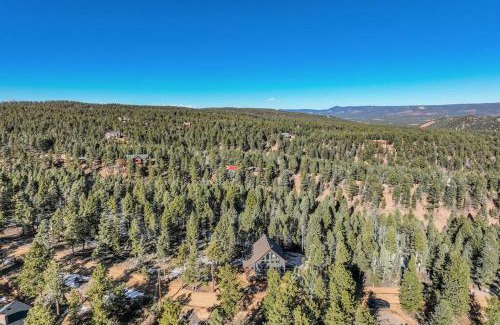 Woodland Park House | Rustic cabin charm w/hot tub, arcade basketball