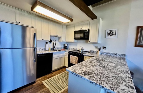 Steamboat Springs Condo | Ski-in/ski-out Mountain Side - Winter Shuttle Wifi Fireplace