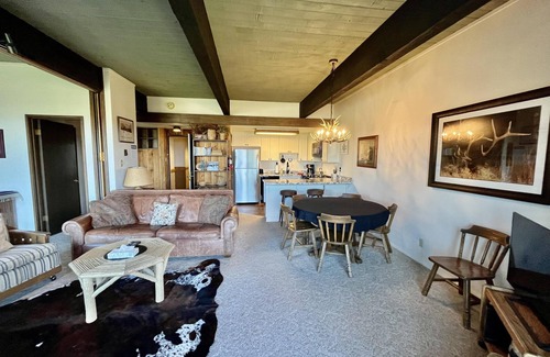 Steamboat Springs Condo | Ski-in/ski-out Mountain Side - Winter Shuttle Wifi Fireplace