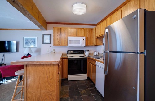 Steamboat Springs Condo | SM436 | Charming Condo | Mountain Views | Hot Tub | Ski In | Free City Bus