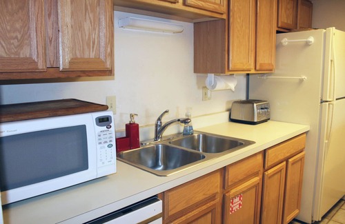Crested Butte Condo | Spacious Condo; Amazing Views! Ski-in/Out, Dog Friendly. Fireplace, Balcony