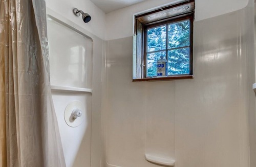 Idaho Springs Cabin | Sweet Pine Waterfront Pet Friendly Cabin