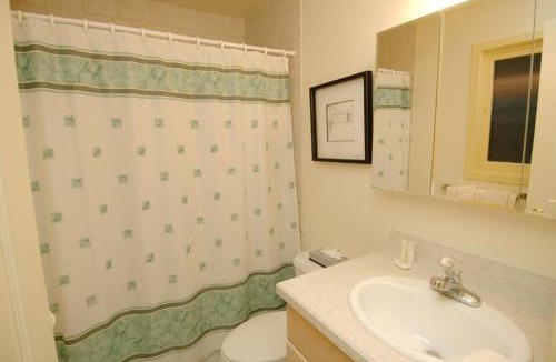 Aspen House | 118 E. Bleeker Street Lower Level, Large Lower-Level Condo in Duplex with Private Deck