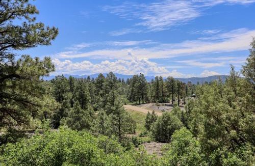 Pagosa Meadows IV House | 224 Bross Pl.