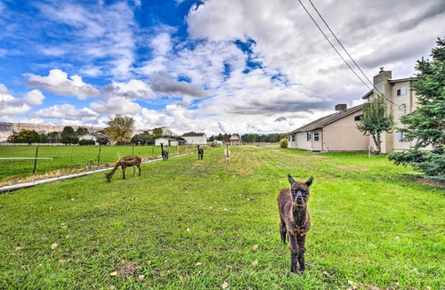 Fruitvale House | 281 m² House ∙ 4 bedrooms ∙ 18 guests