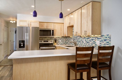 Aspen Condo | 2E/Cozy Downtown Aspen 1-Bedroom Condo Near Gondola